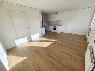 Friggs väg 4G