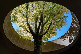 Prästgårdsängen 23