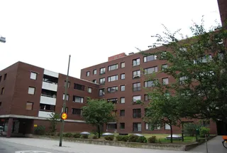 Stora Trädgårdsgatan 20