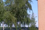 Kvarnvägen 4 C
