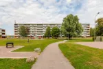 Trädgårdsgatan 50 B