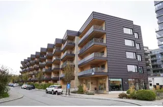 Skonaren Ingos gata 4