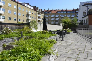 Karl X Gustavs gata 62