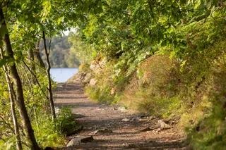 Fyrklöversgatan 108