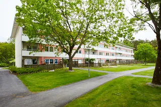 Tornsvalegatan 53