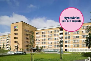 Rönnblomsgatan 11