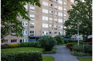 Fjällveronikan 1