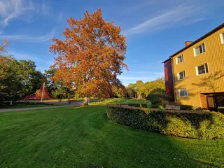 Tjäderstigen 15A