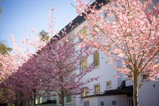 Oddergatan 38 A