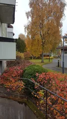 Dalstigen 13