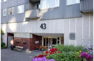 Södra Dragspelsgatan 43