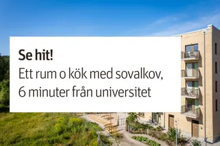 Tamarindvägen 2