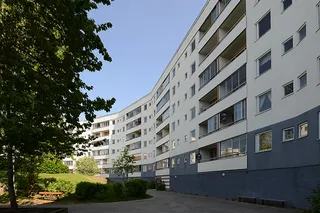 Branta Backen 25
