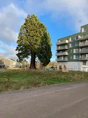 Einar Olssons gata 7