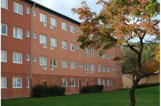 Sandspåret 5