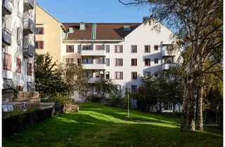 Annas Gård 11