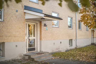 Trädgårdsgatan 36