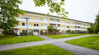 Tornsvalegatan 33
