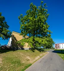 Agneshögsgatan 39 C