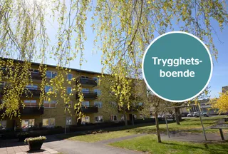 Drottninggatan 25