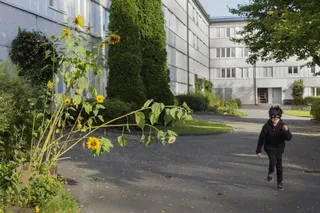 Pennygången 100