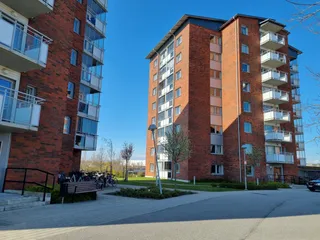 Sockerbiten 5