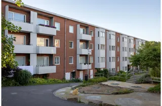 Rimfrostgatan 53