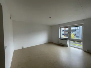 Taggsvampsvägen 3