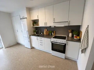 Taggsvampsvägen 7