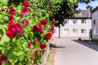 Fogdegatan 31
