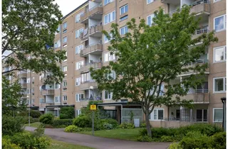 Fjällhavren 5