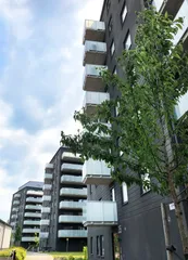 Skjutbanegatan 31