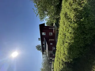 Vänga lyckor 8