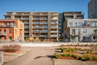 Kanikenäsbanken 17