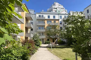 Upplysningens väg 13