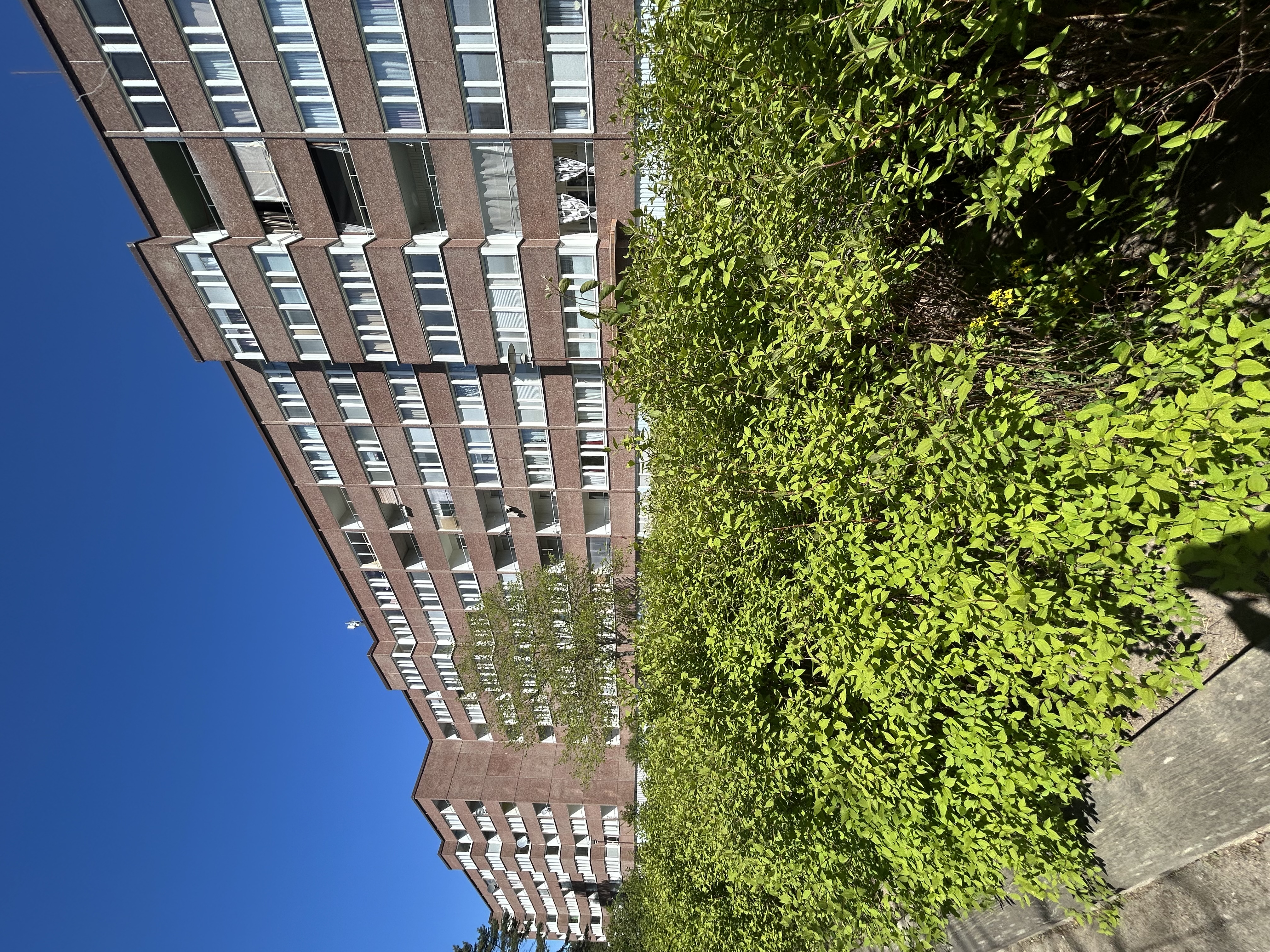 Liegatan 5, Västerås
