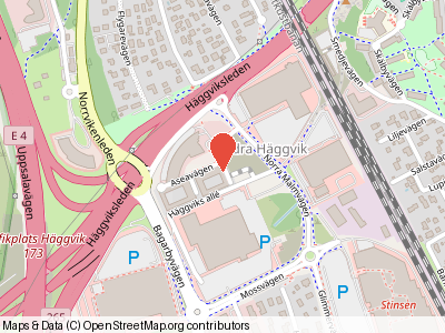 Södra Häggviksvägen 29