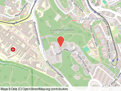 Doktor Lindhs Gata 1