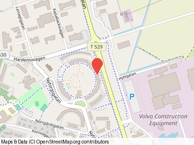 Nytorgsgatan 36
